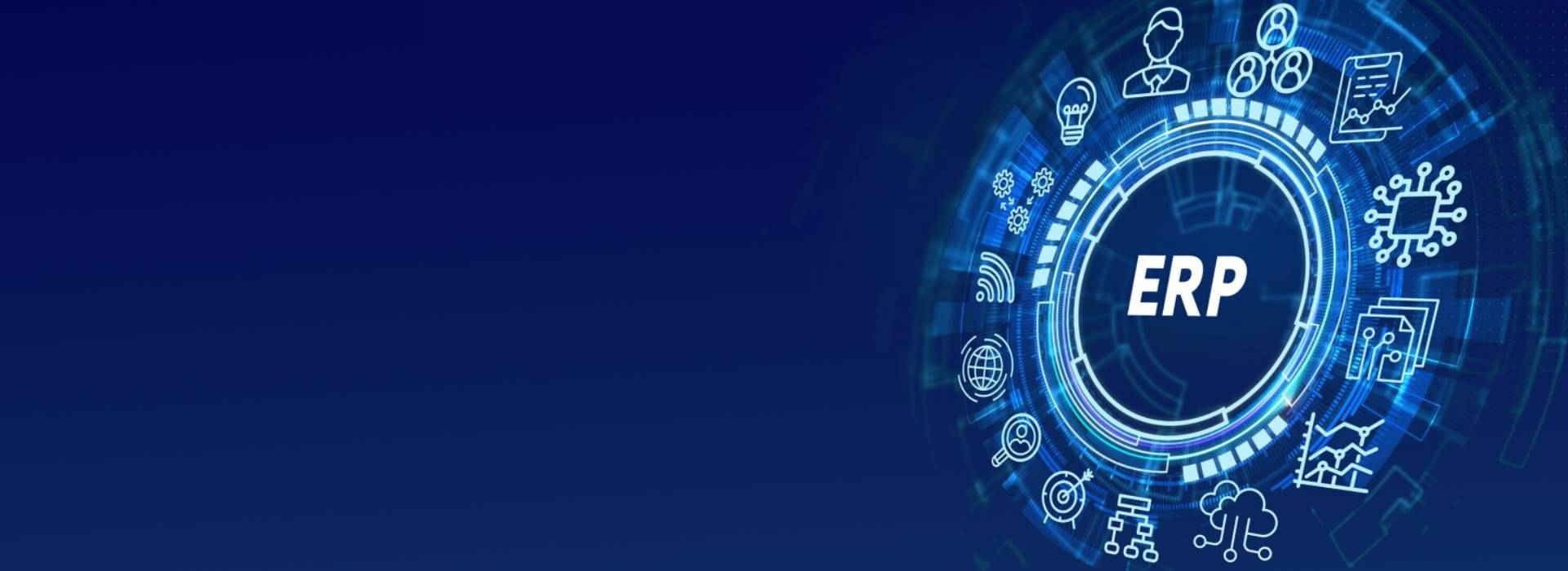 Own your ERP application at a fraction of cost